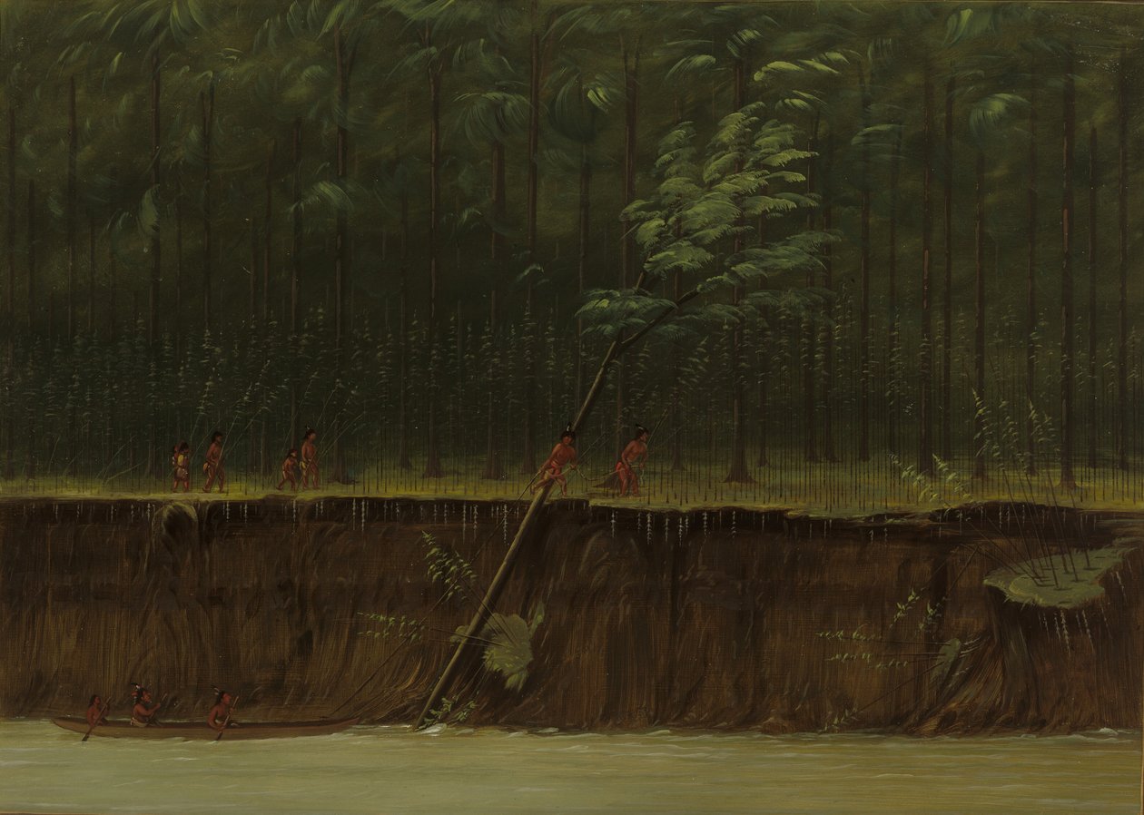 Ansicht des unteren Mississippi (1861-1869) von George Catlin