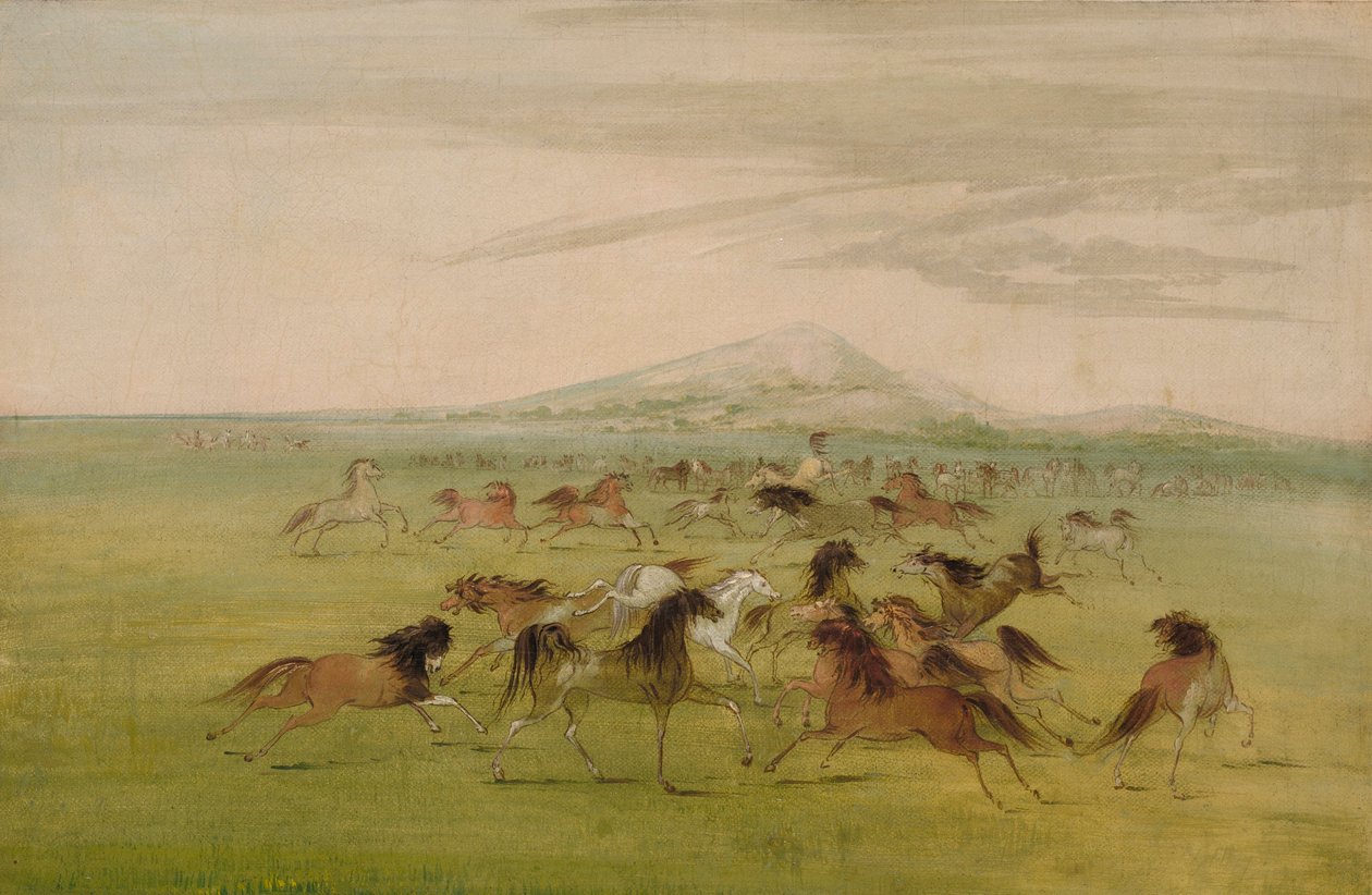 Wilde Pferde beim Spielen von George Catlin