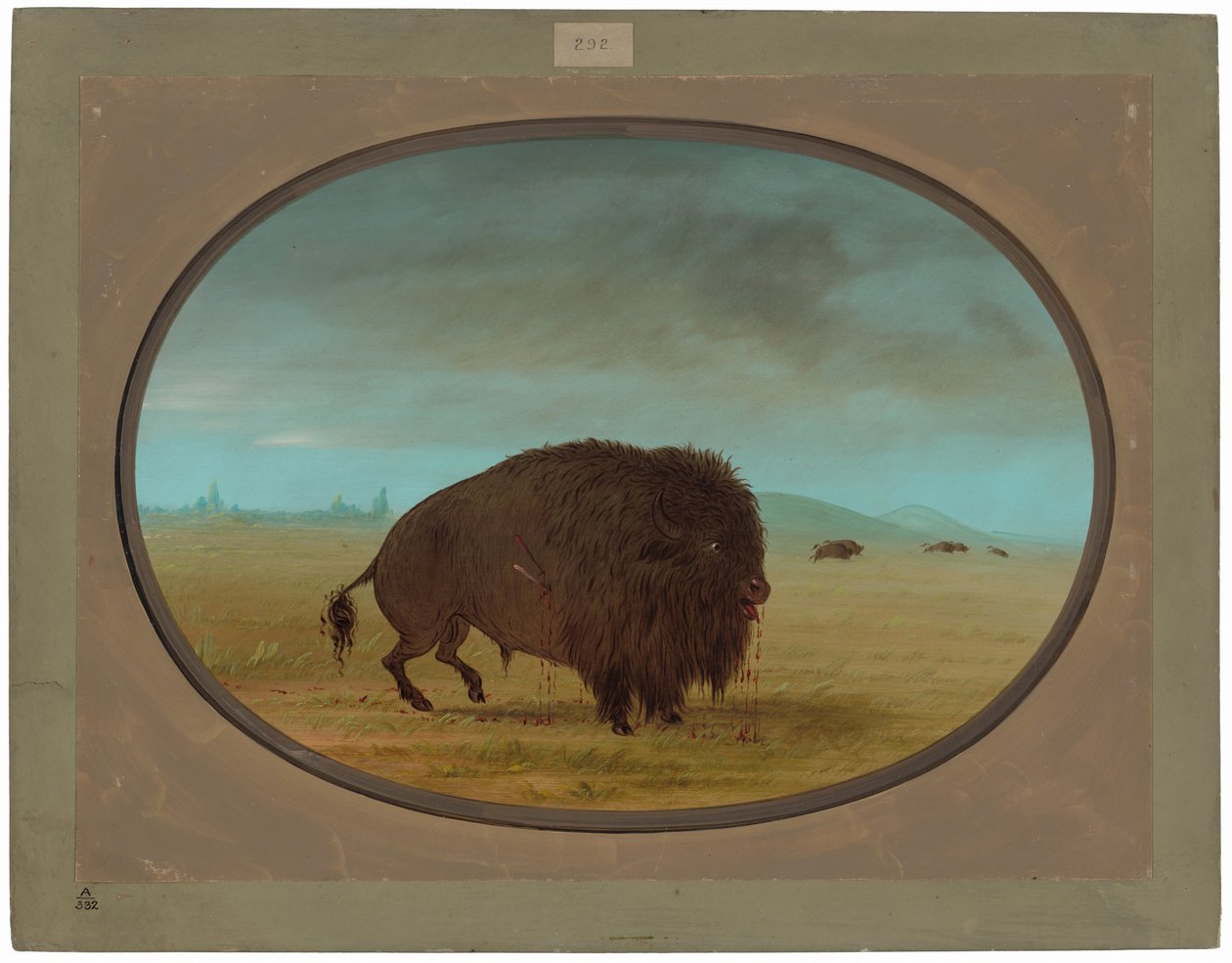 Verwundeter Büffelbulle von George Catlin