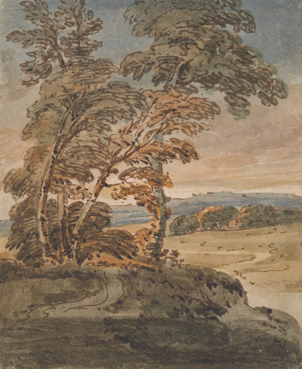 Bäume auf einem Hügelpfad von George Chinnery