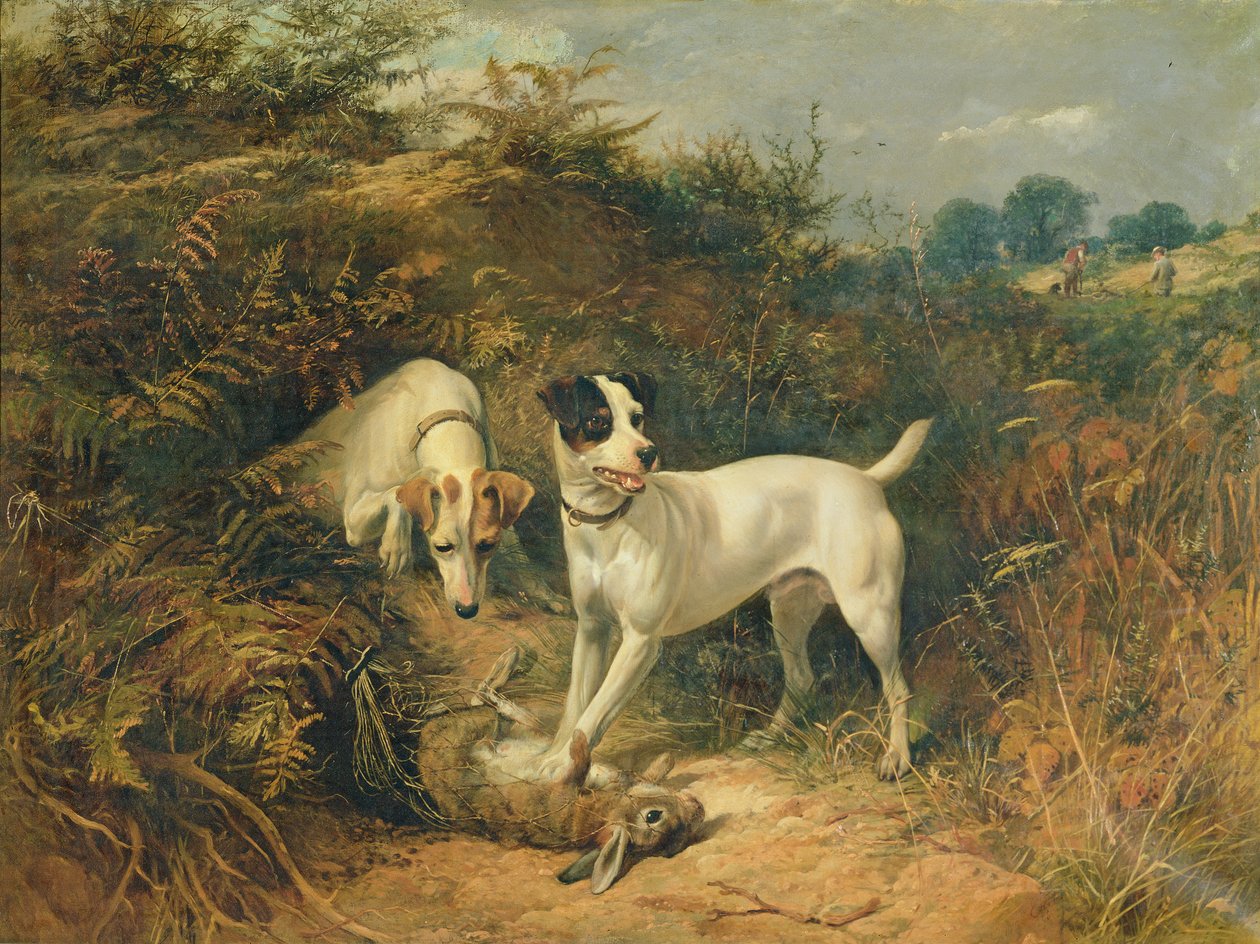 Die Freunde des Wildhüters von George Earl