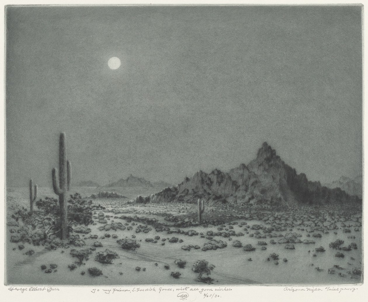 Arizona Nacht von George Elbert Burr