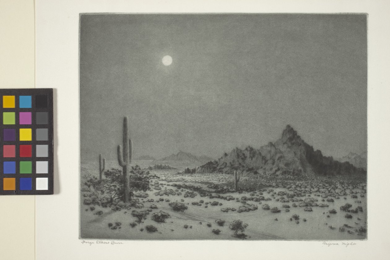Arizona Nacht von George Elbert Burr
