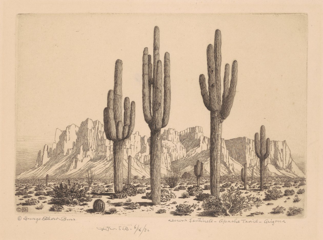 Wüstensentinellen, Apache Trail, Arizona von George Elbert Burr
