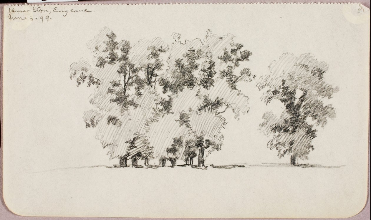 Ulmen - Eton, England von George Elbert Burr