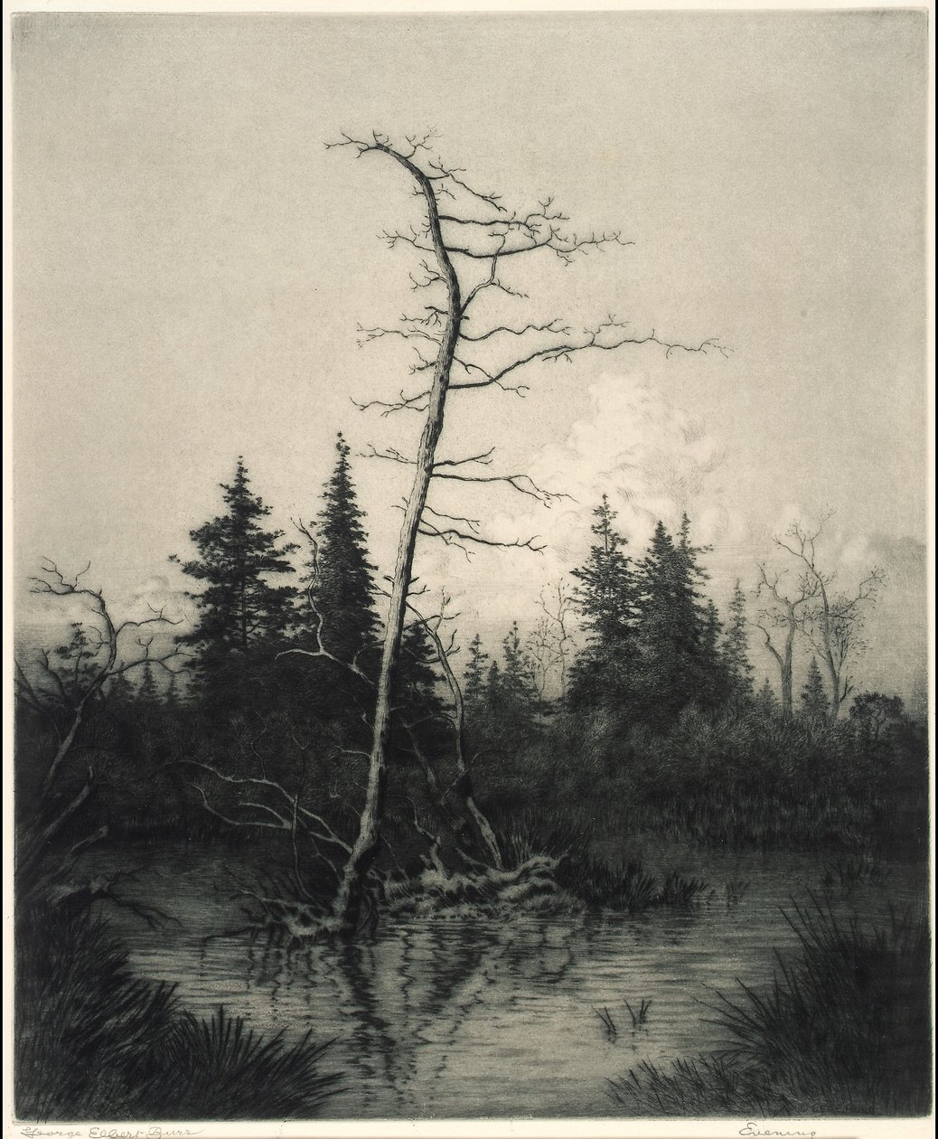 Abend von George Elbert Burr