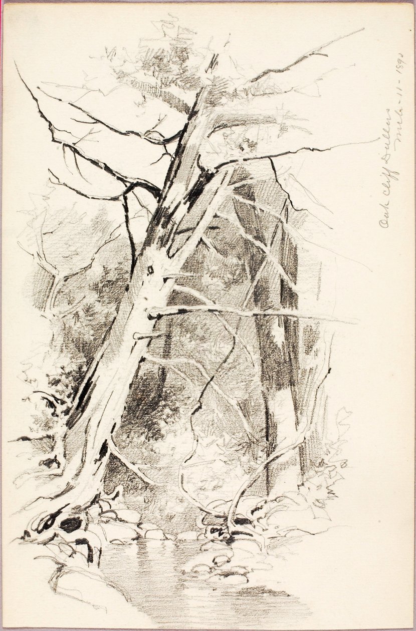Oak Cliff, Dallas von George Elbert Burr