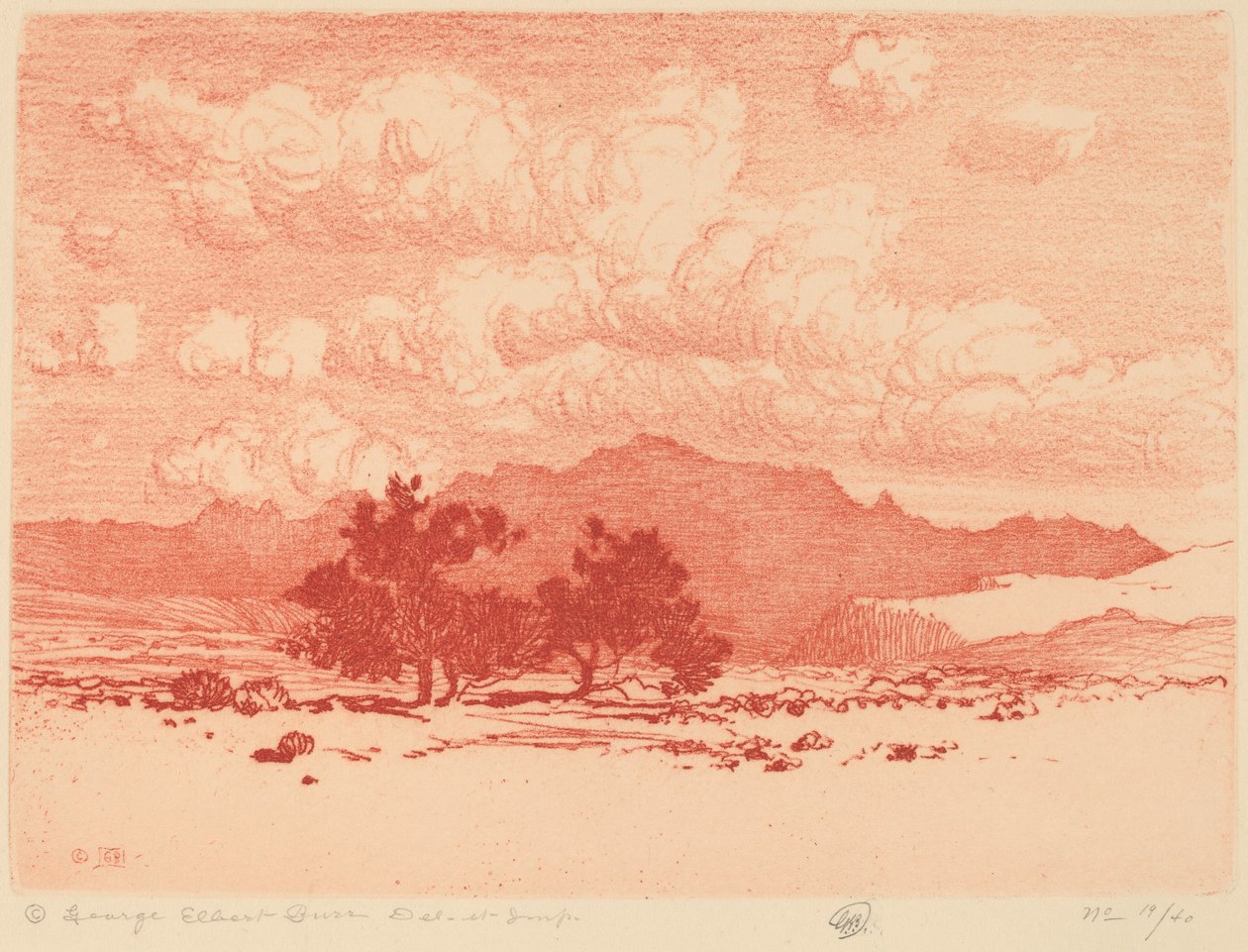 Palo Verde Bäume von George Elbert Burr