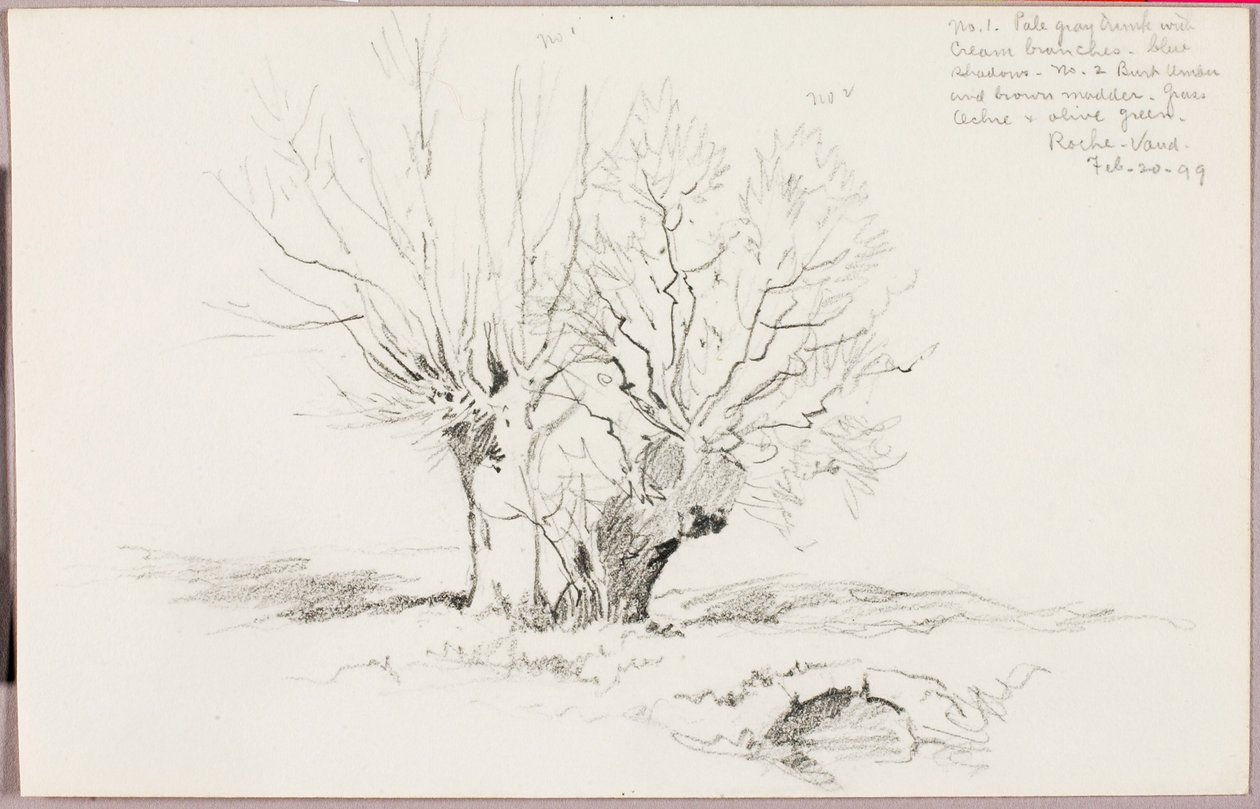 Roche Vaud von George Elbert Burr