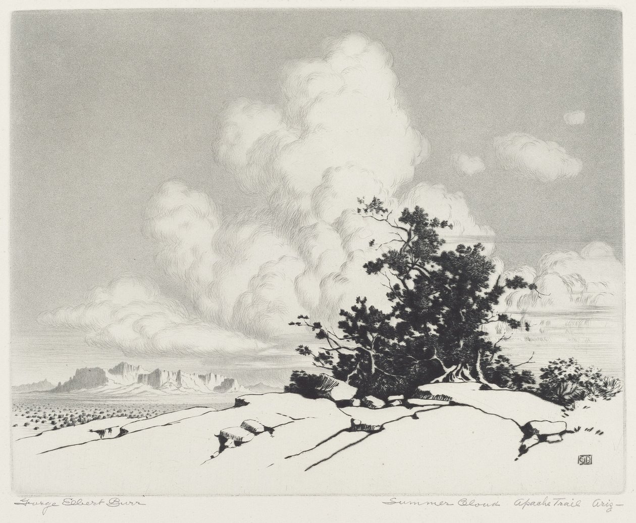 Sommerwolke, Apache Trail, Arizona von George Elbert Burr