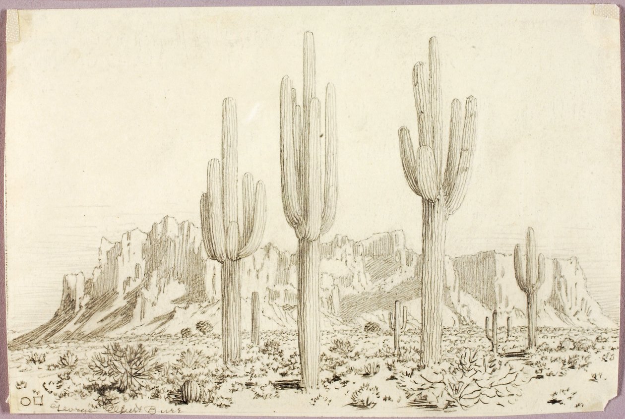 Ohne Titel von George Elbert Burr