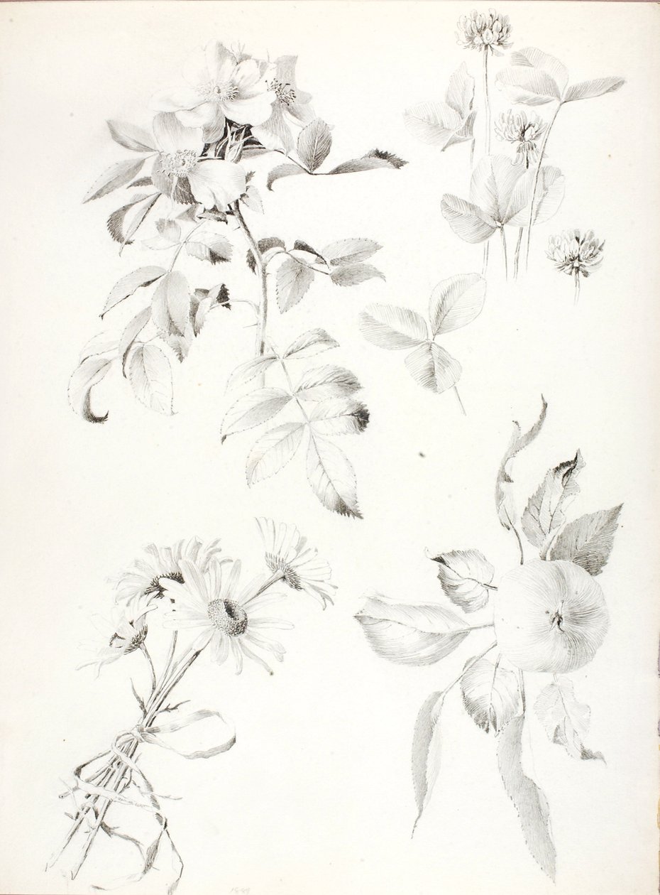 Ohne Titel von George Elbert Burr