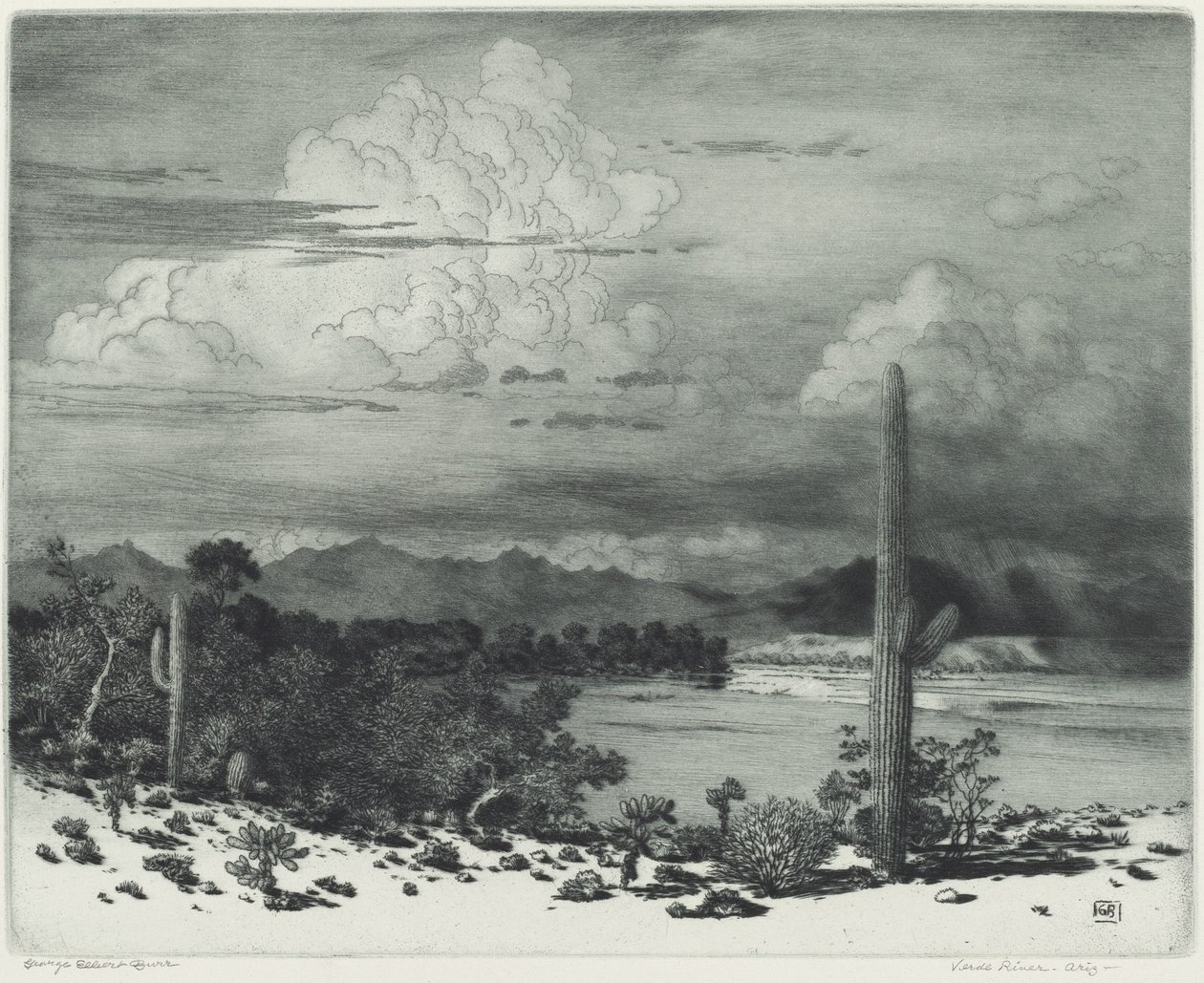 Verde River, Arizona von George Elbert Burr