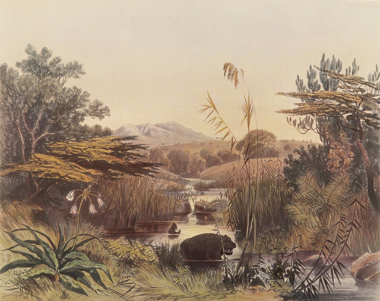 Der Umnonoti-Fluss bei Sonnenuntergang von George French Angas