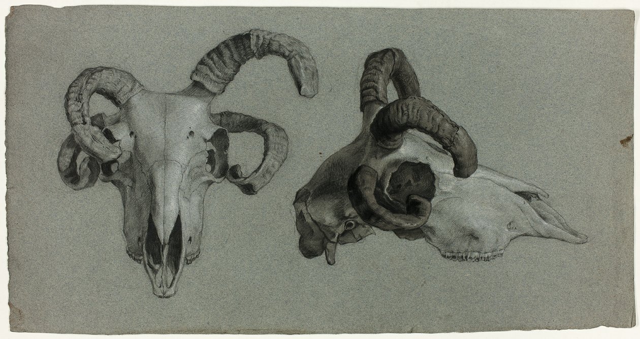 Widder-Schädel von George Hayter