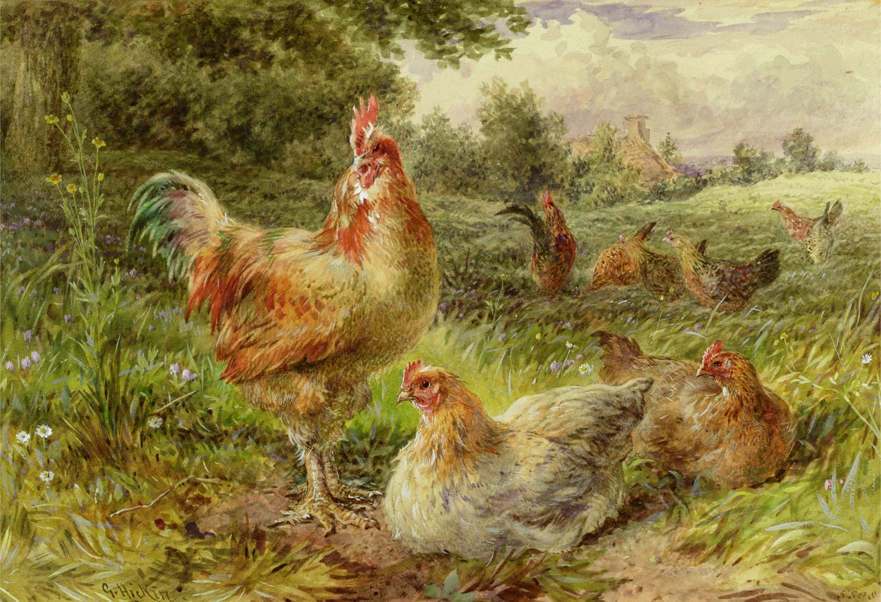 Cochin China Hühner von George Hickin