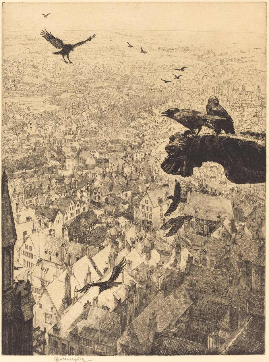 Dohlen von Chartres von George Marples