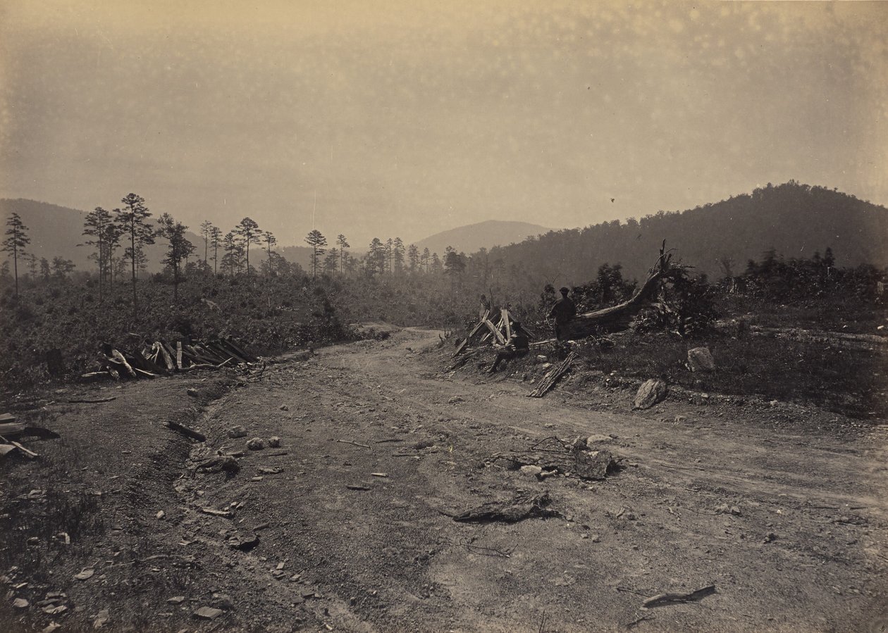 Buzzard Roost, Georgia von George N. Barnard
