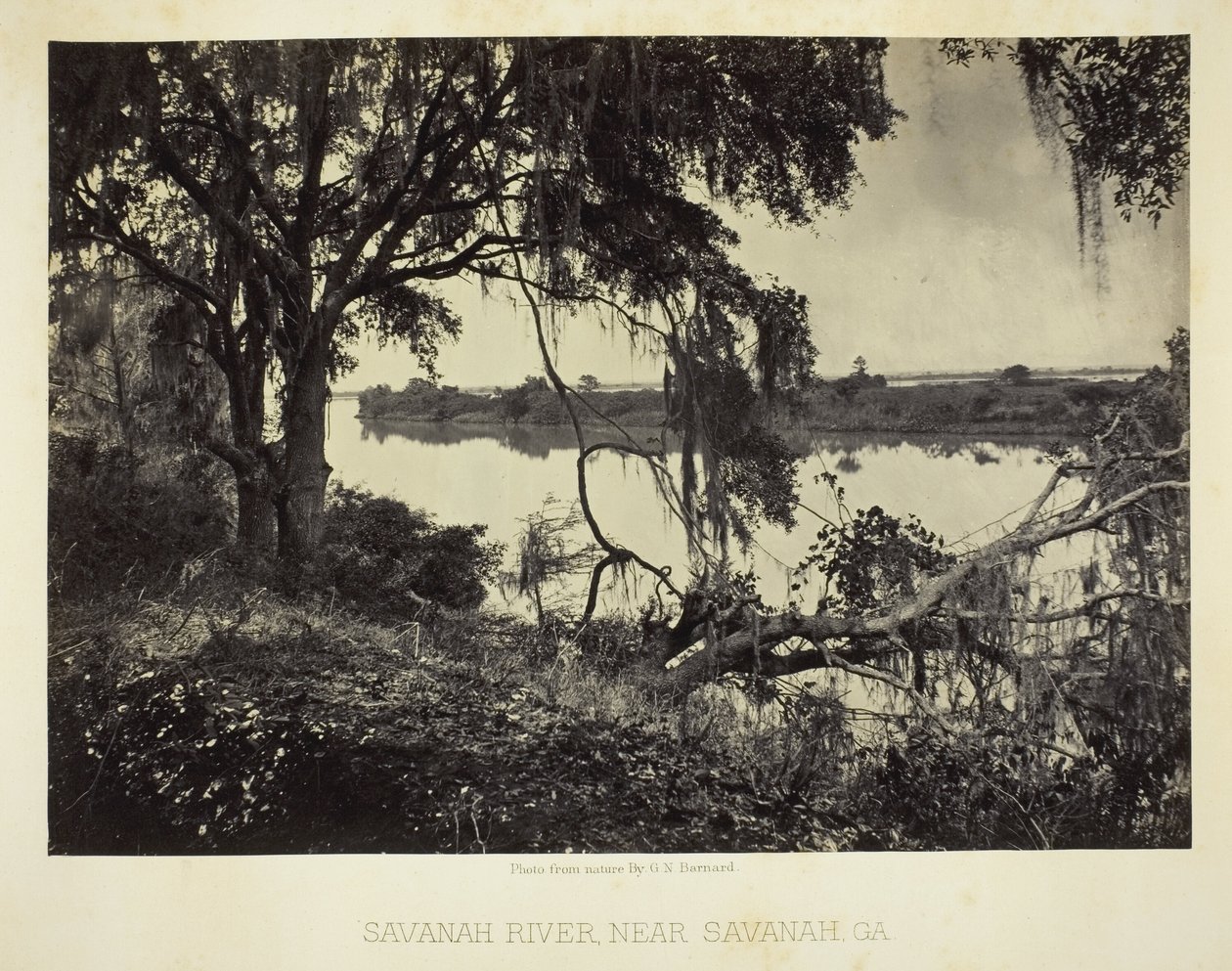 Savannah River, nahe Savannah, GA von George N. Barnard