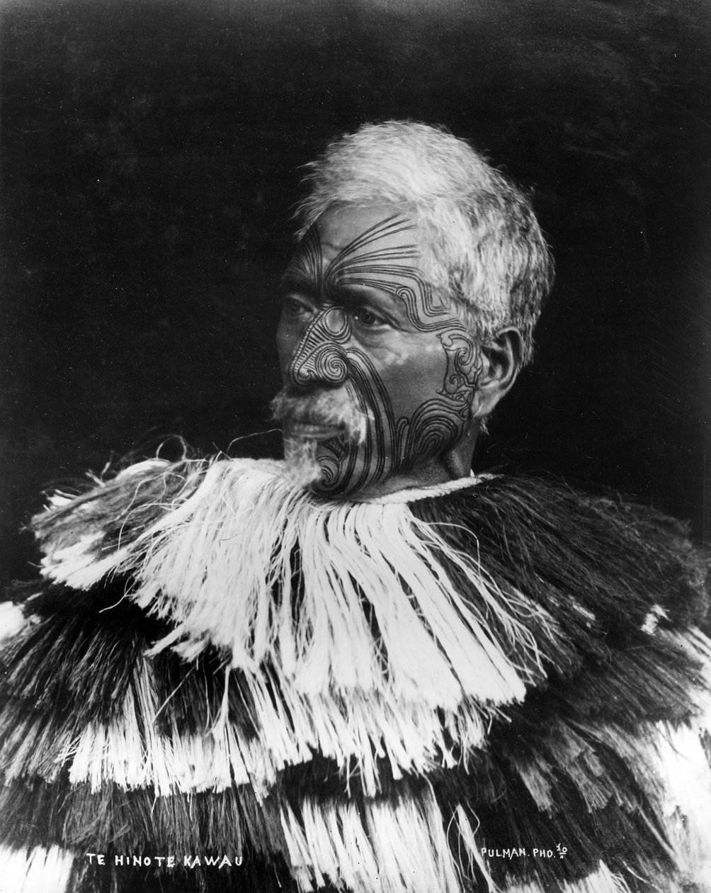 Te Hinote Kawau, ca. 1860-71 von George Pulman
