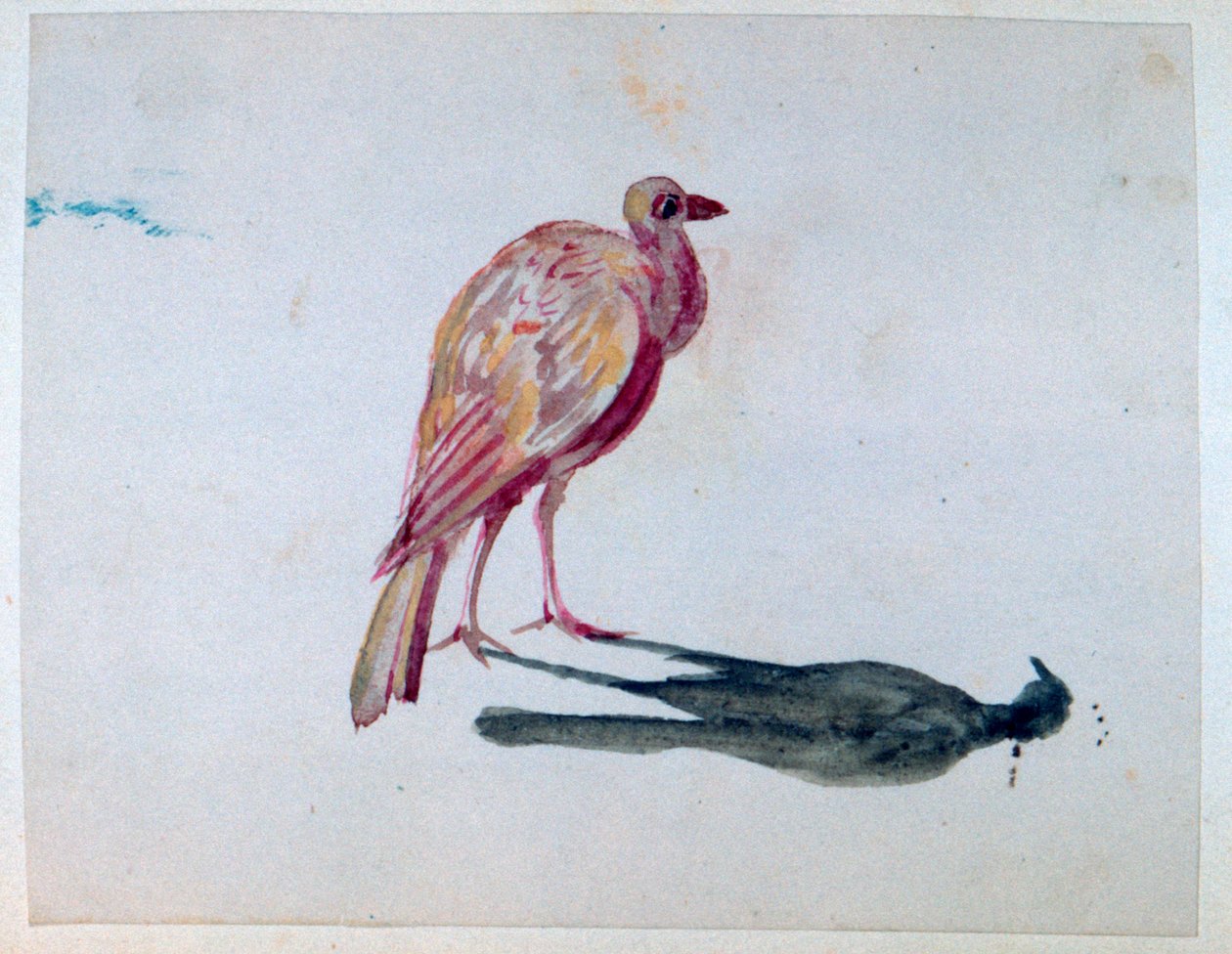 Vogel, 1820-1876 von George Sand