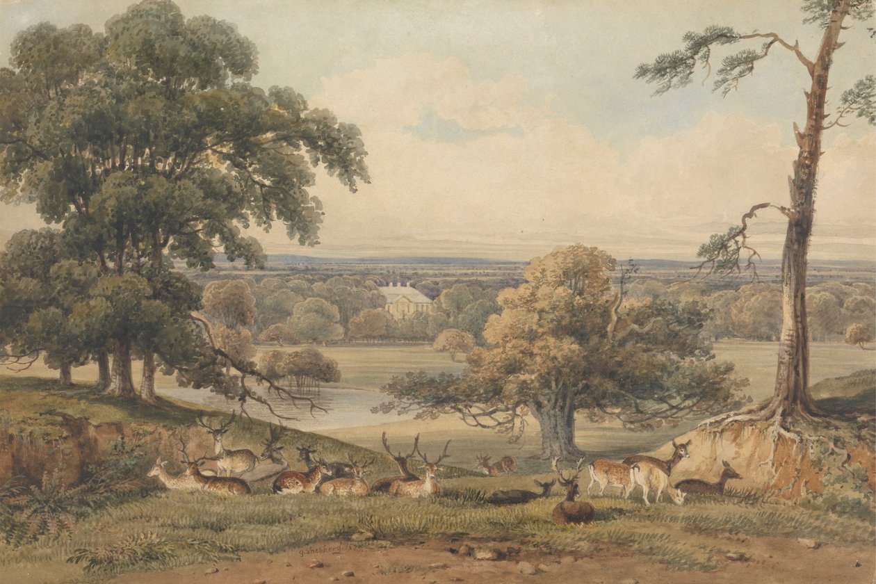 Eine entfernte Ansicht von Ampthill Park von George Shepherd