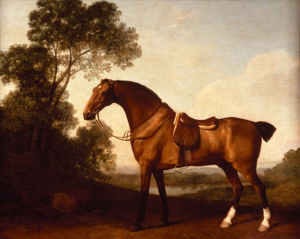 Ein gesattelter Brauner von George Stubbs