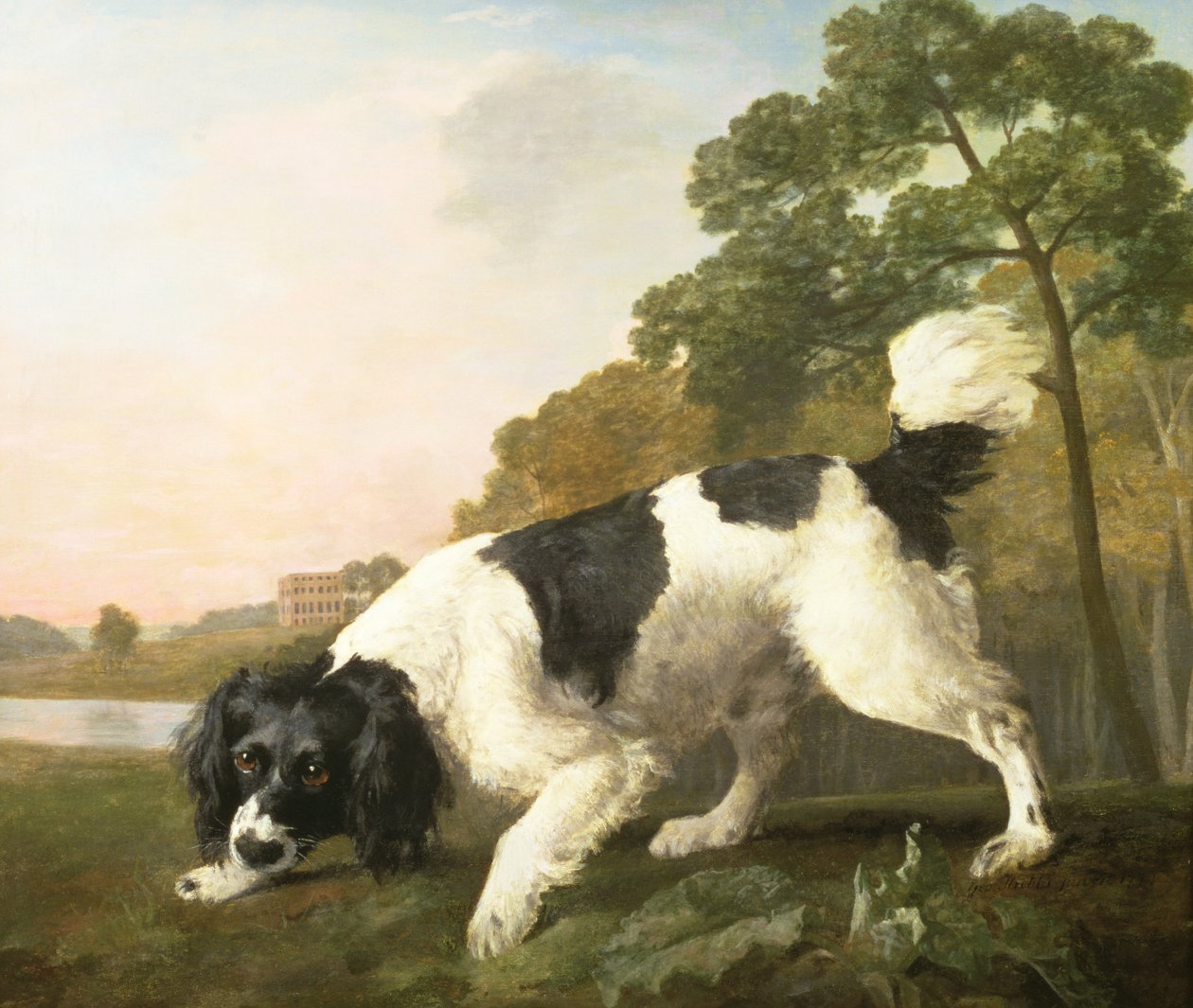 Ein Spaniel in einer Landschaft, 1771 von George Stubbs