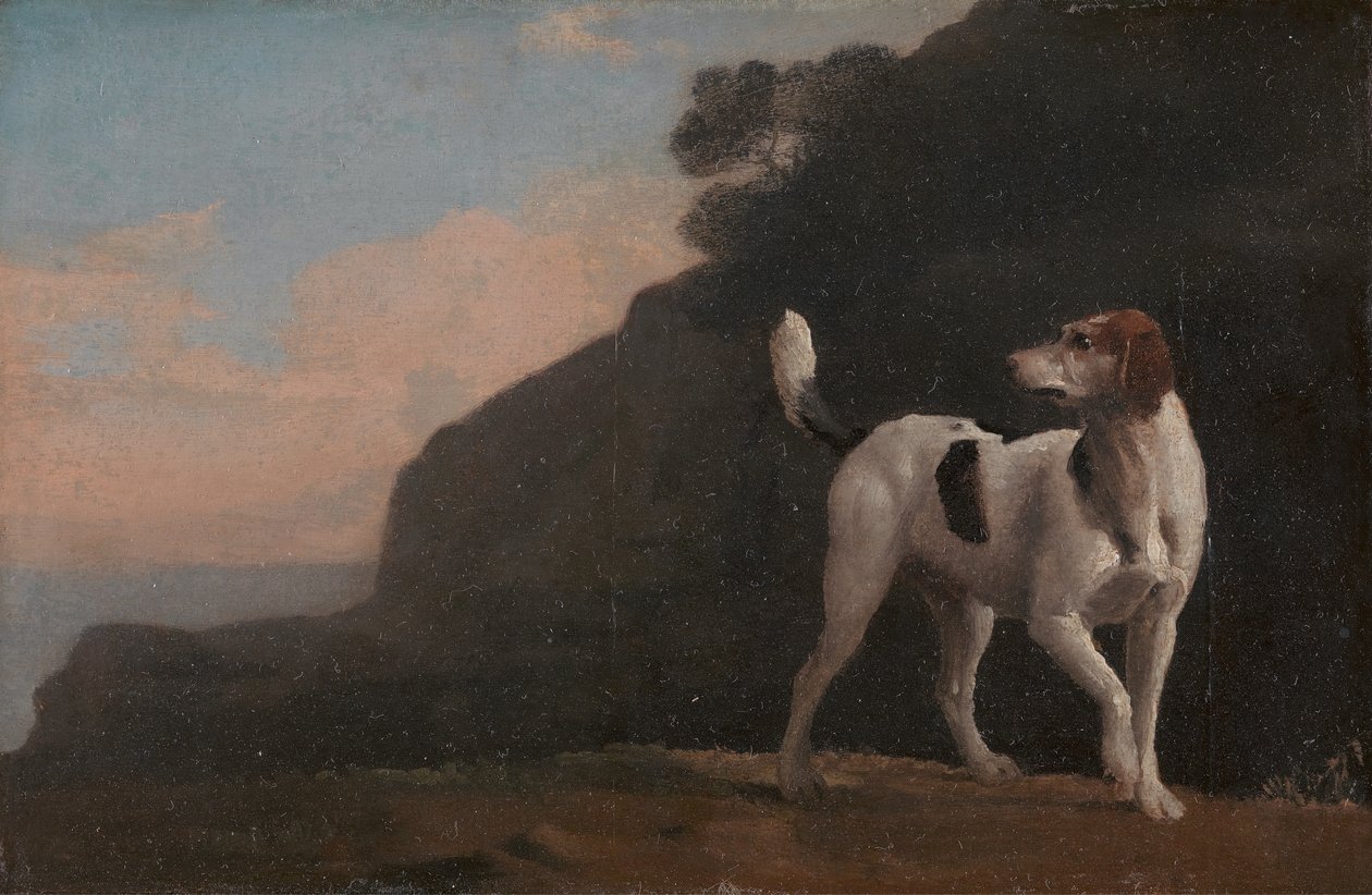 Fuchshund, ca. 1760 von George Stubbs