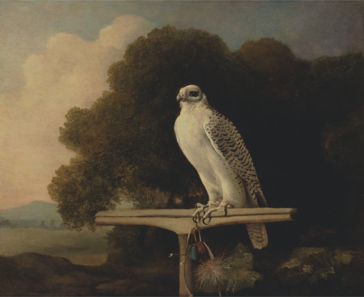 Grönlandfalke von George Stubbs