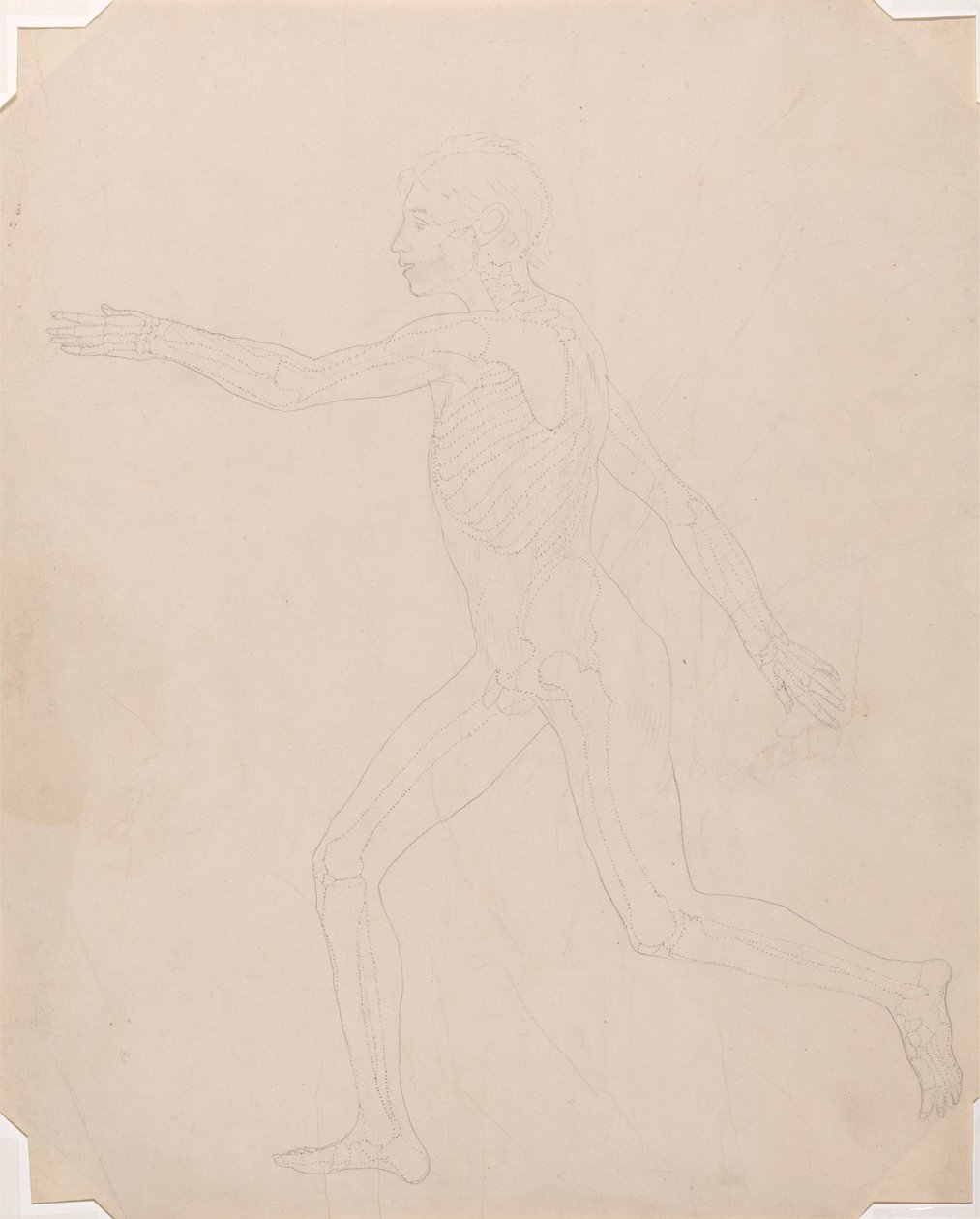 Menschliche Figur, Seitenansicht von George Stubbs