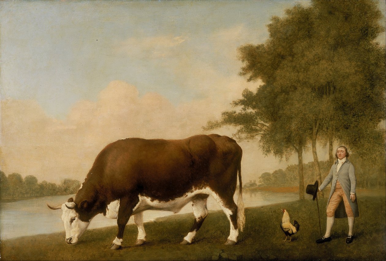 Der Lincolnshire-Ochse von George Stubbs