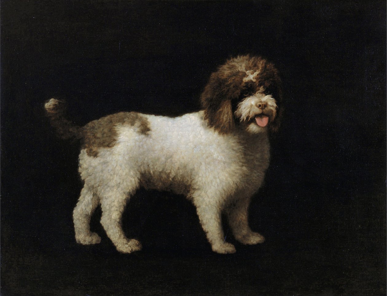 Wasserspaniel von George Stubbs