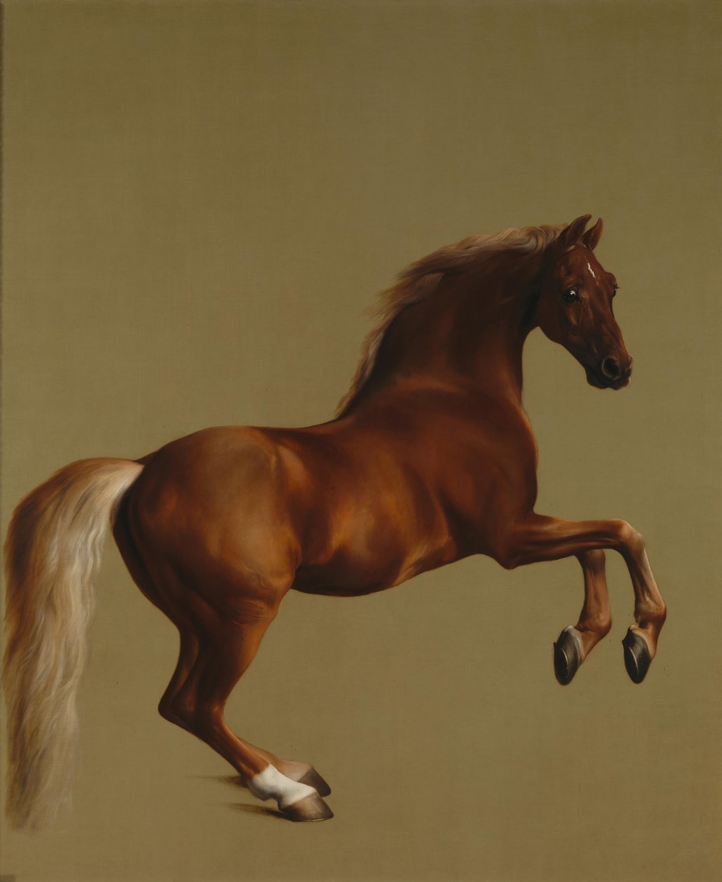 Whistlejacket von George Stubbs