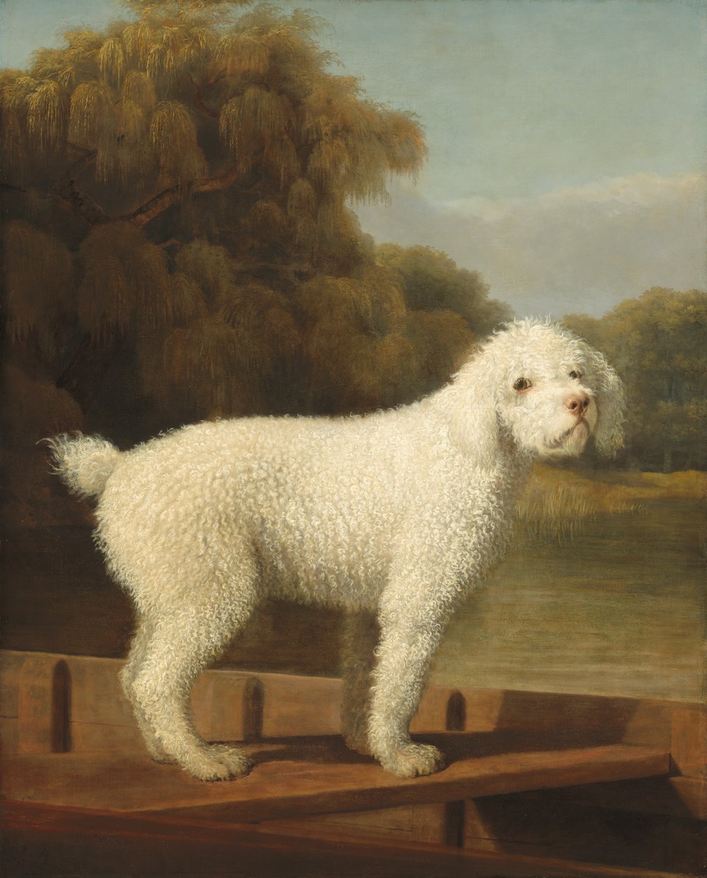 Weißer Pudel in einem Kahn, um 1780 von George Stubbs