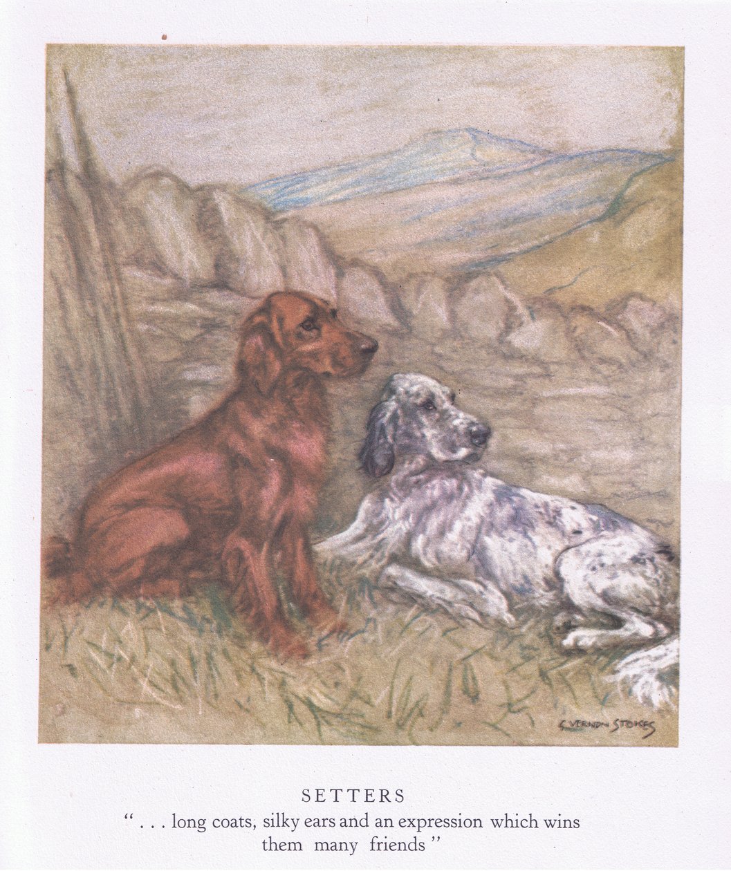 Setter von George Vernon Stokes