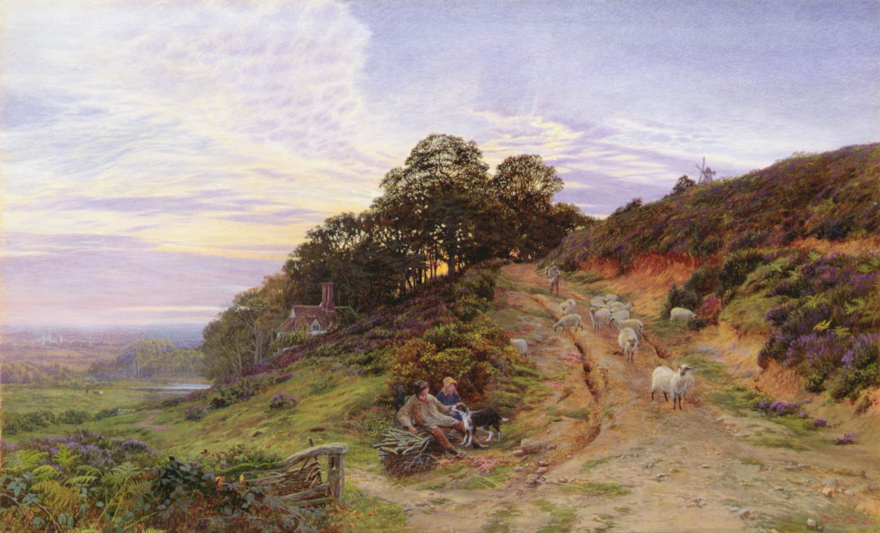 Pitch Hill bei Ewhurst von George Vicat Cole