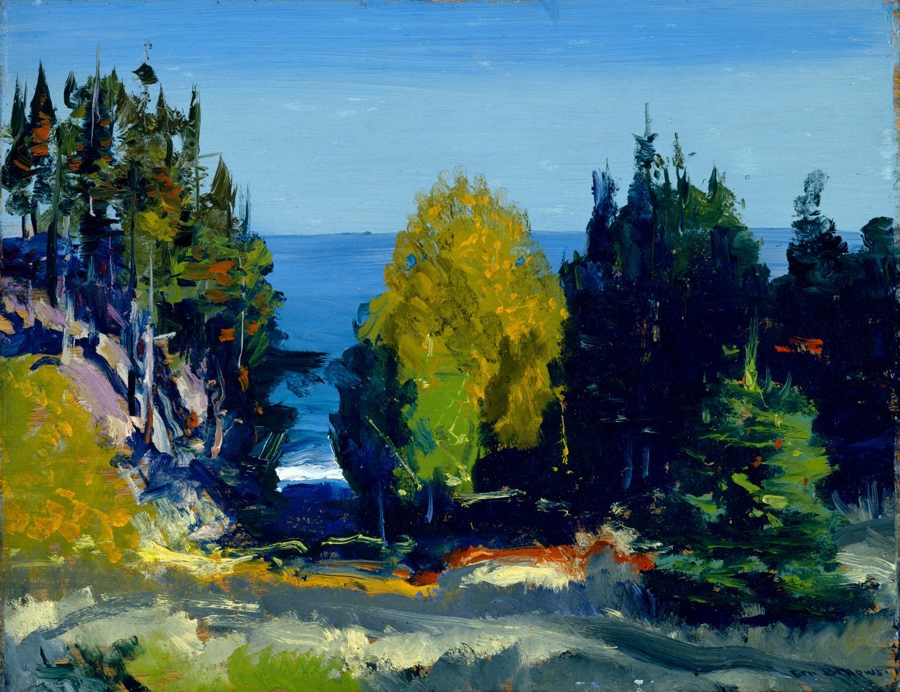 Der Hain - Monhegan, 1911 von George Wesley Bellows