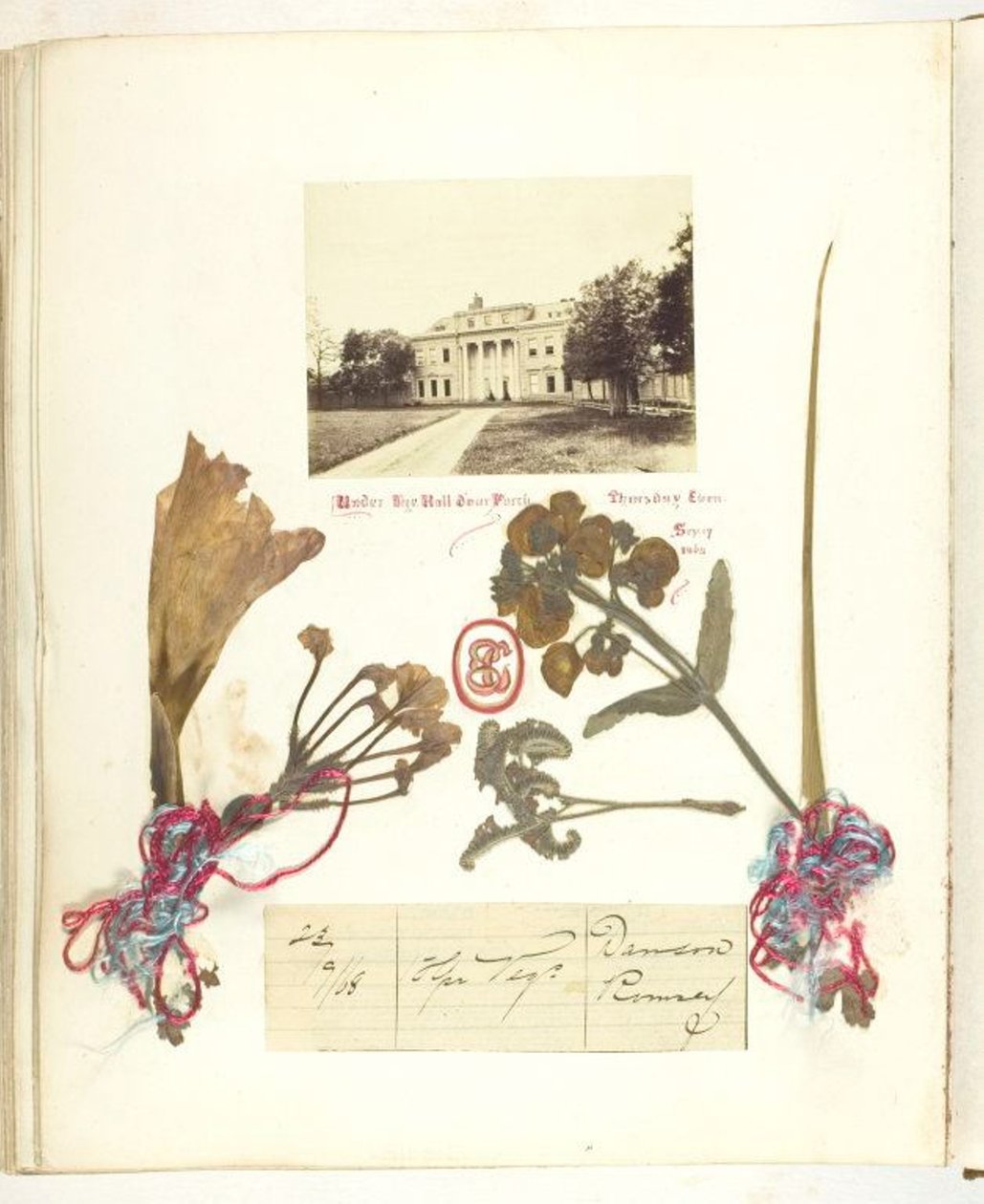 Ohne Titel von Georgina Cowper