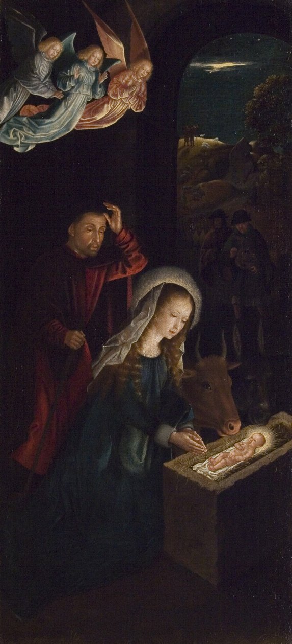 Die Geburt Christi von Gerard David