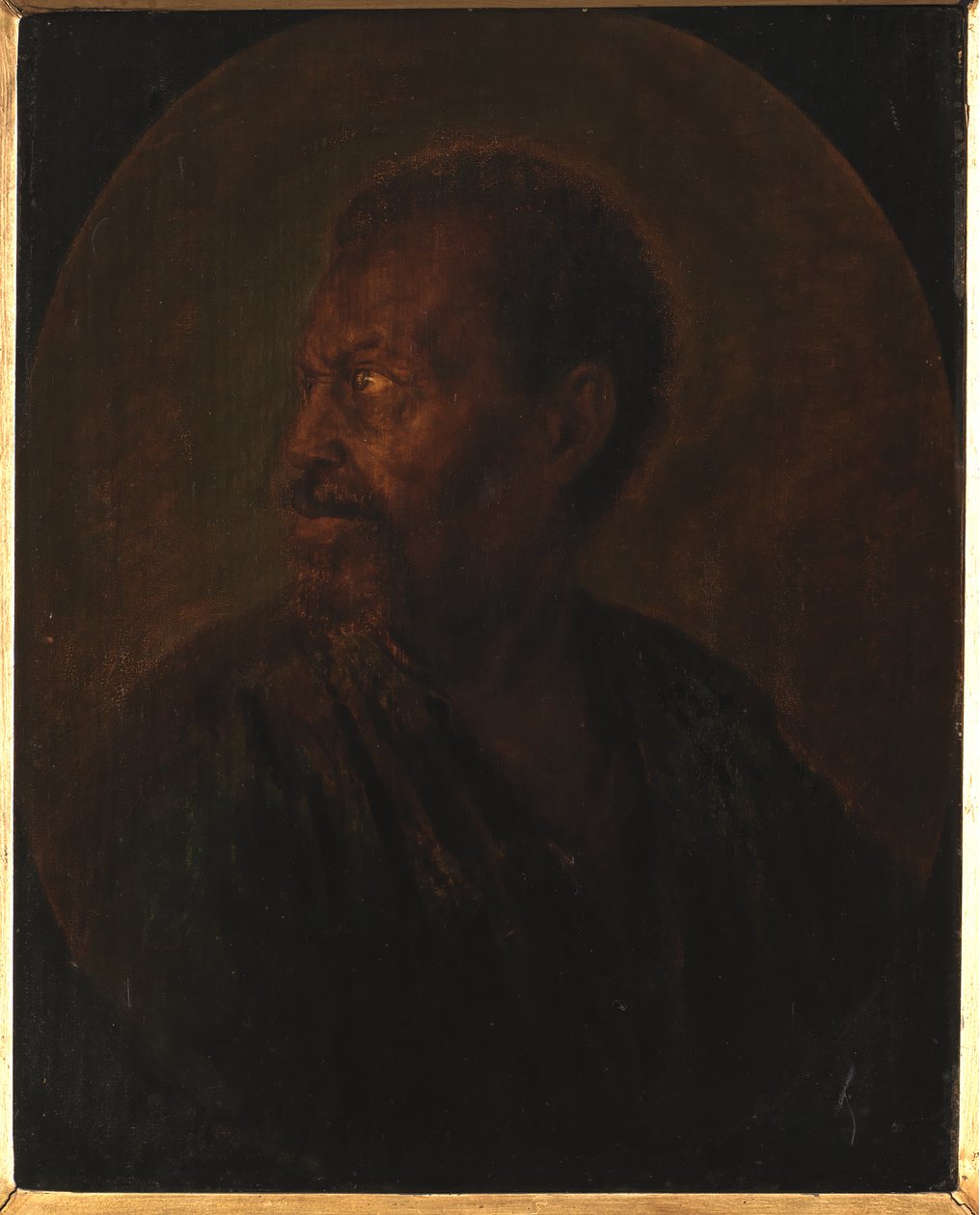 Kopf eines Afrikaners von Gerrit Dou