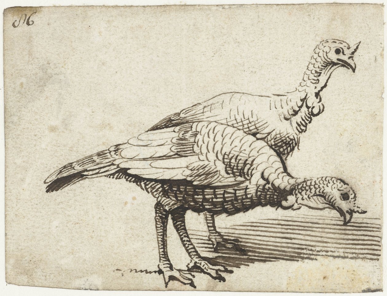 Zwei Truthähne von Gerard ter Borch (I)