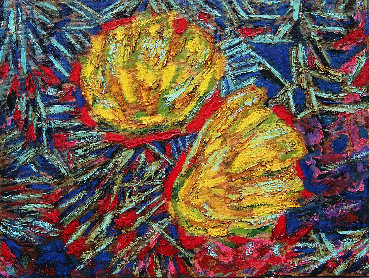 Kaktusblüten, 2019 von Gerhardt Isringhaus