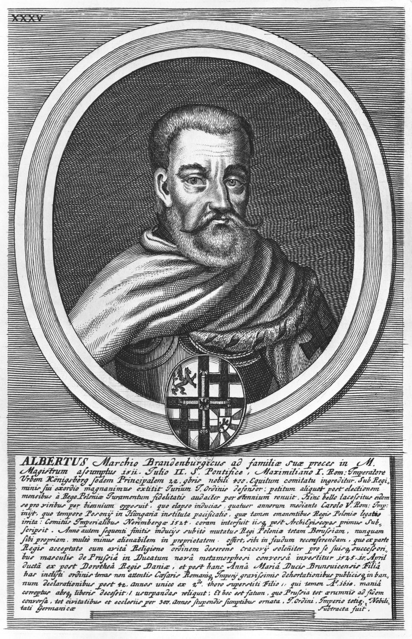 Albert von Brandenburg (Holzschnitt) von German School