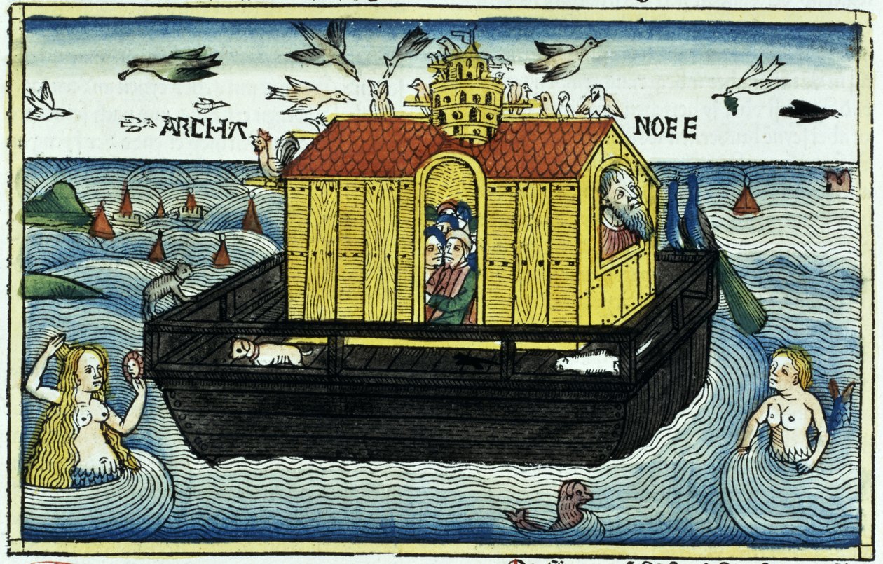 Genesis 6:11-24 Noahs Arche, aus der Nürnberger Bibel von German School