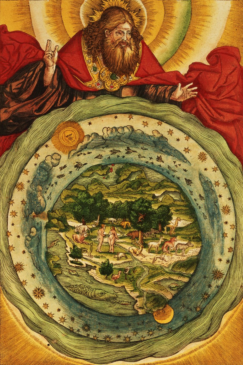 Die Schöpfung, aus der Lutherbibel, um 1530 von German School