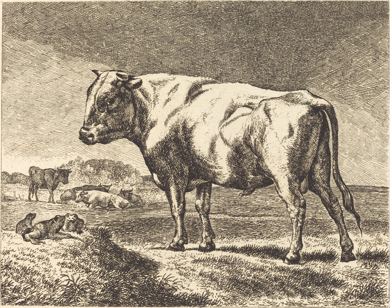 Kuh von German 19th Century