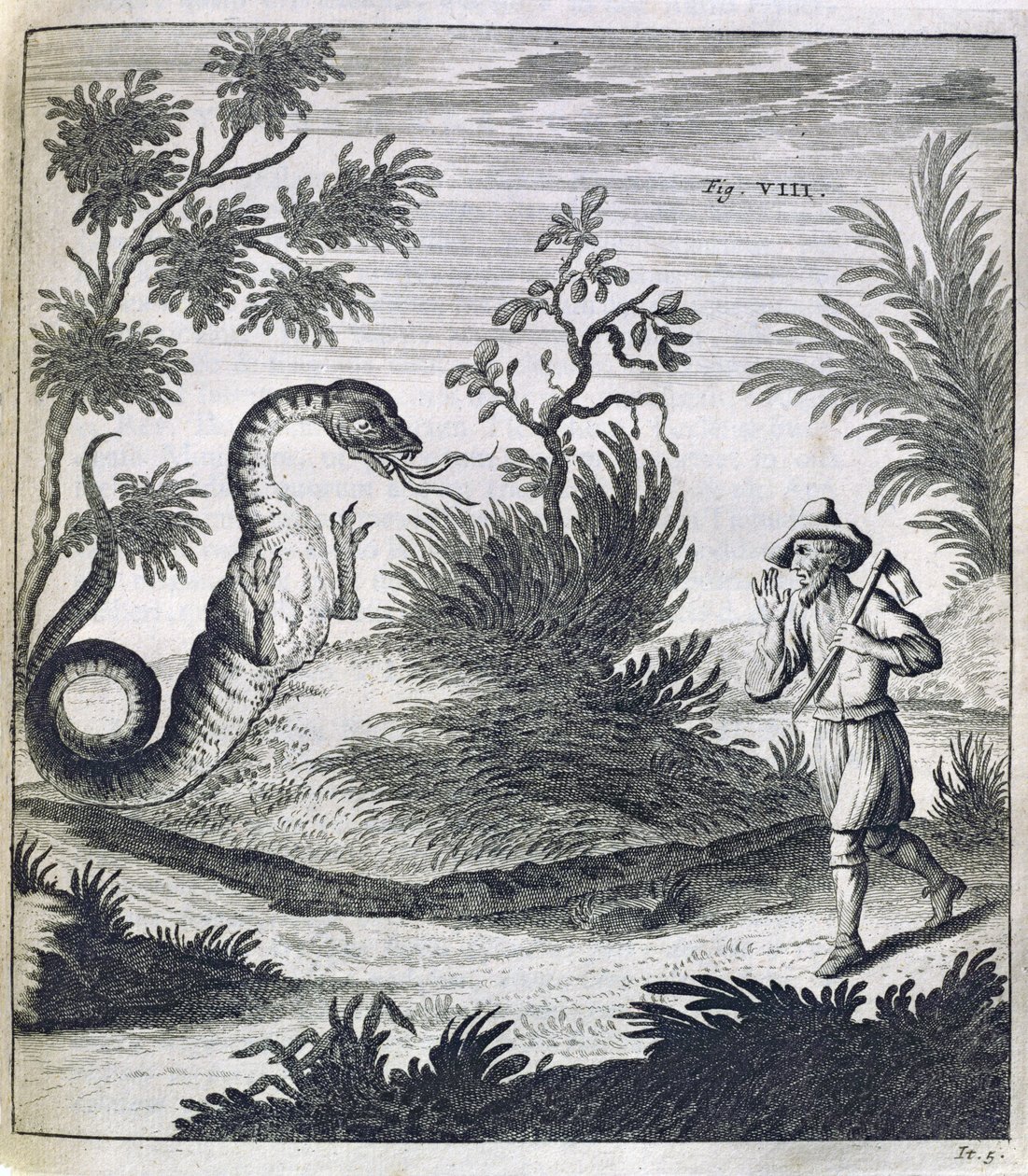 Ein furchterregender Drache, um 1660 von German School