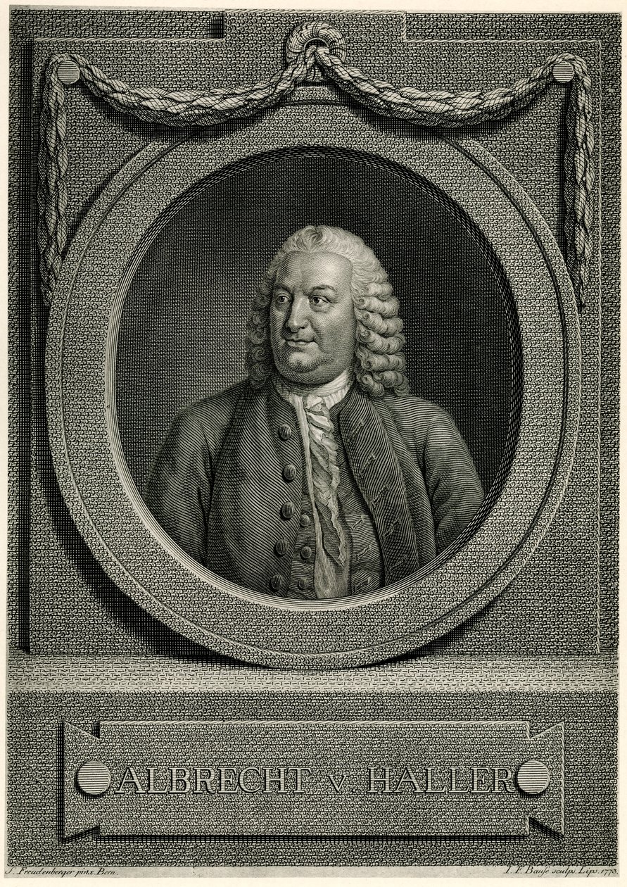 Albrecht von Haller von German School