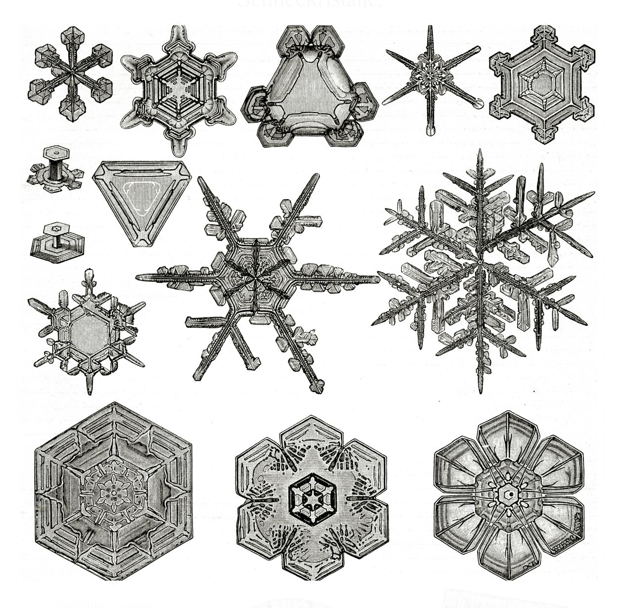 Verschiedene Formen von Schneeflocken von German School